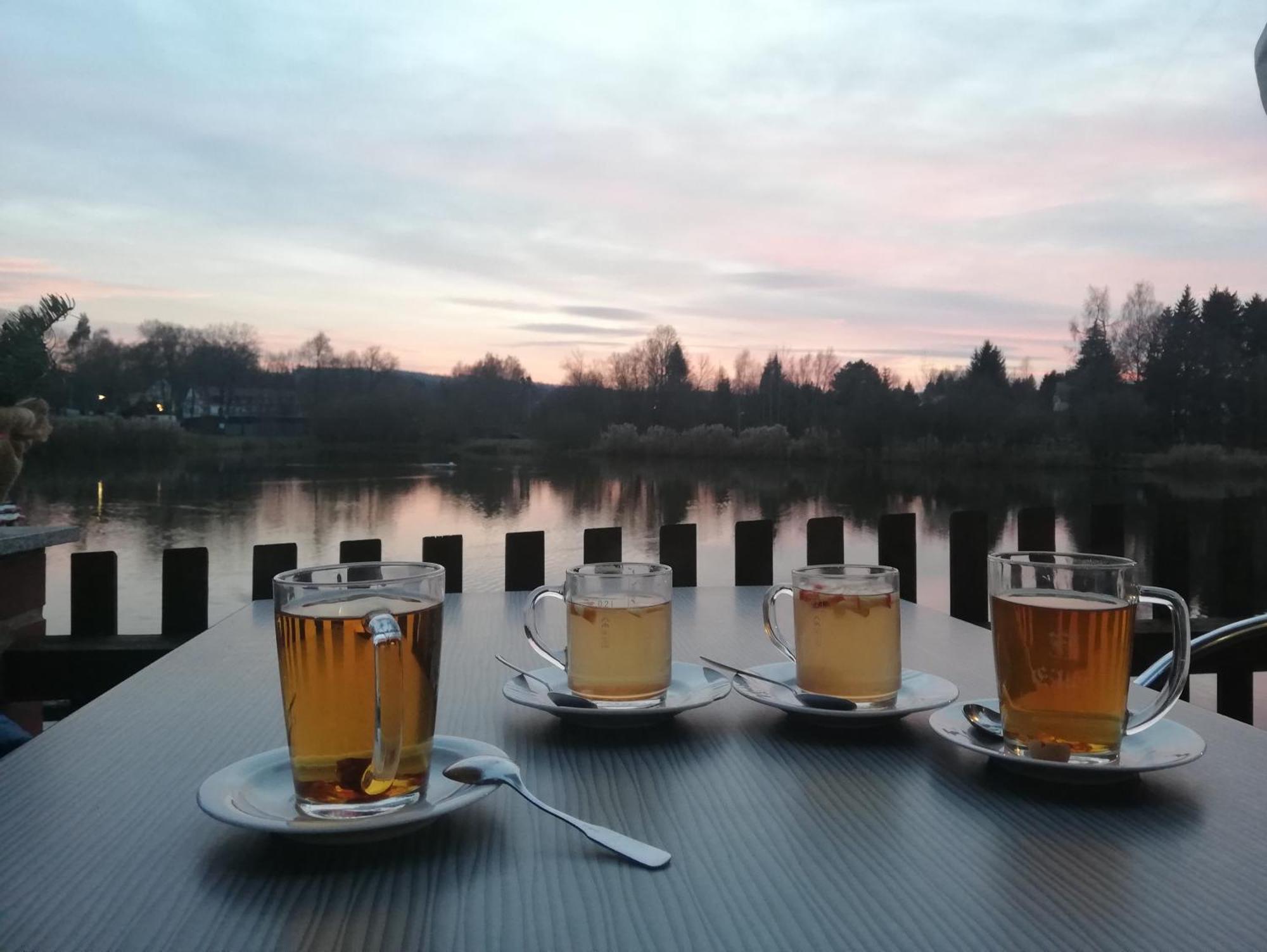 Ferienwohnung - Landhotel Waldschloesschen Sohland an der Spree Zewnętrze zdjęcie