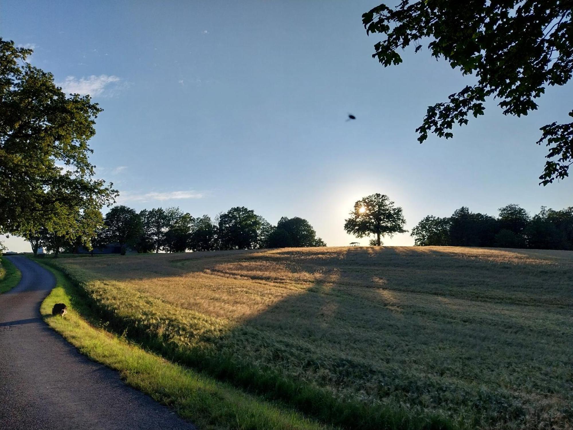 Ferienwohnung - Landhotel Waldschloesschen Sohland an der Spree Zewnętrze zdjęcie